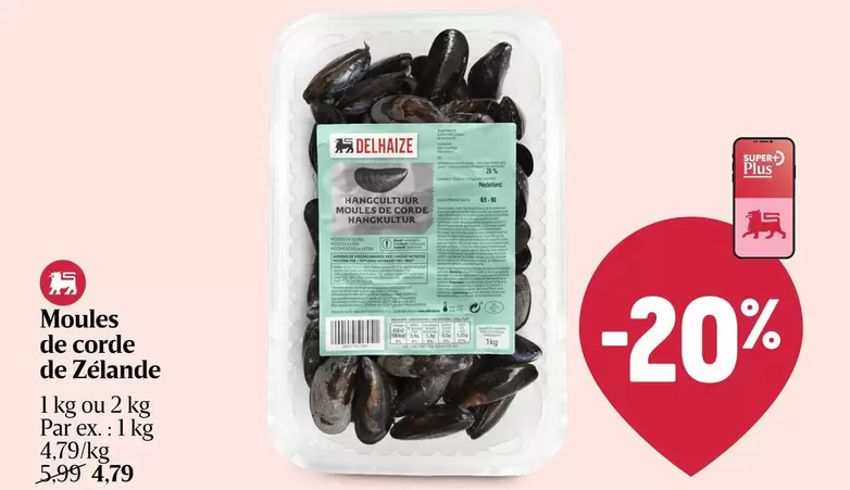De - Moules de corde