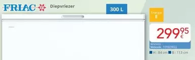 Diepvriezer 300 L