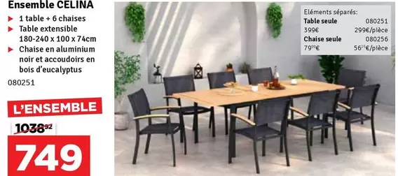 Ensemble CELINA