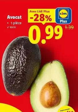 Avocat - 1 pièce n° 80616