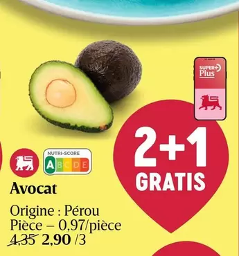 Avocat