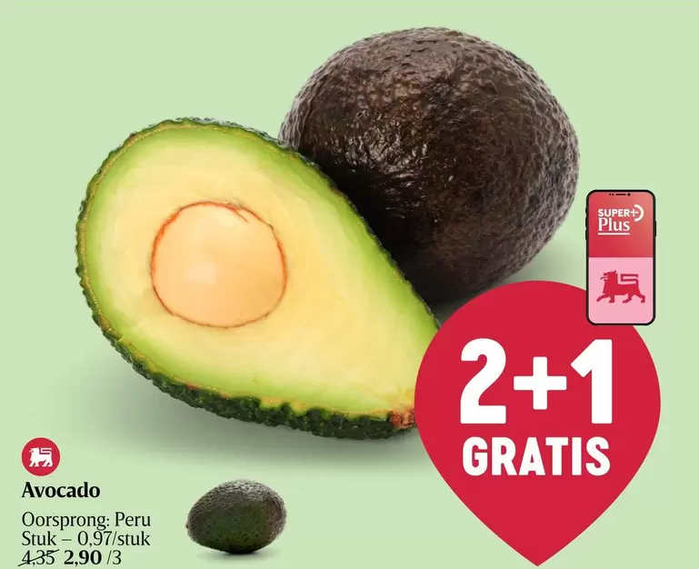 Avocado