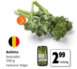 Broccolini