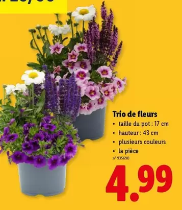 De - Trio de fleurs