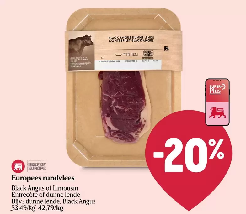Black - Angus of Limousin