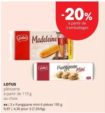 Cat - Madeleine / Frangipane Mini