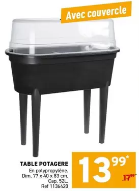 TABLE POTAGERE