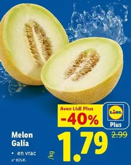 Melon Galia