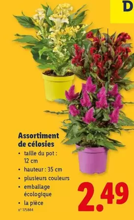 De - Assortiment de célosies