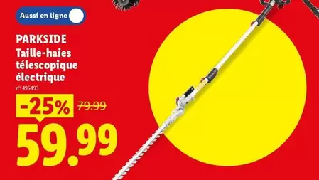 Taille-haies télescopique électrique