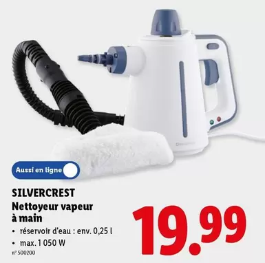 Nettoyeur vapeur à main