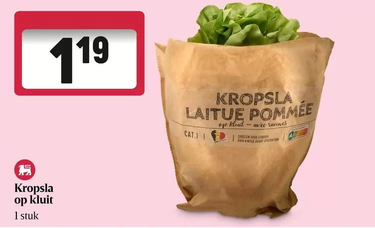 KROPSLA LAITUE POMMÉE