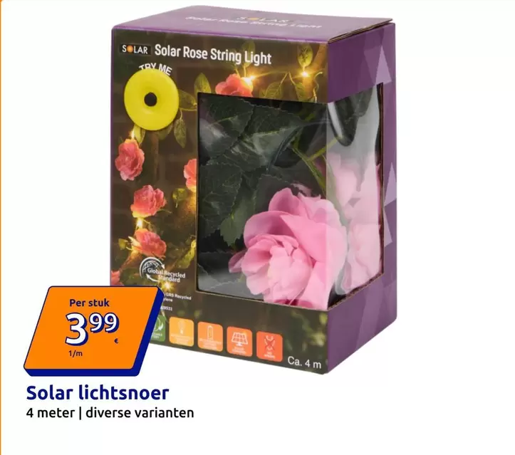 Standard - Solar Rose String Light