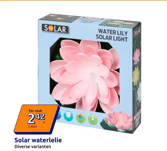 Solar water lily