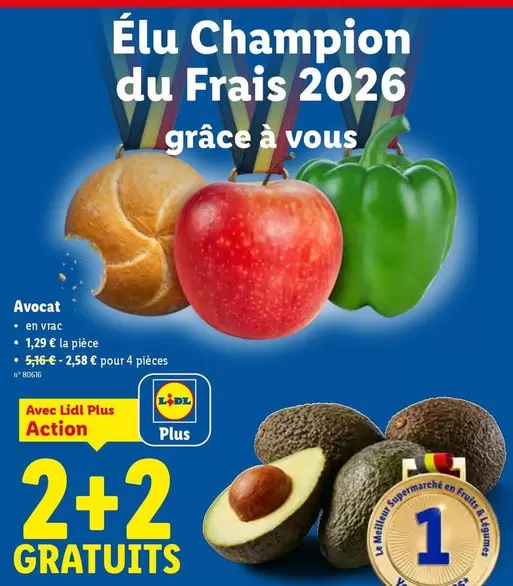 Avocat