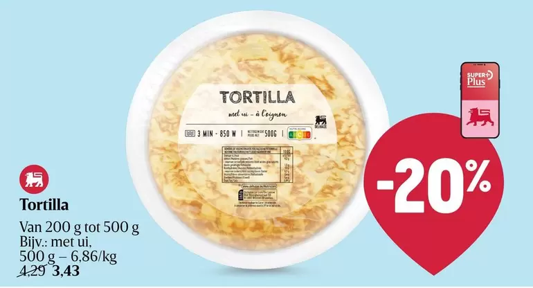 Lion - TORTILLA