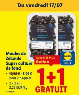 De - Moules de Zélande Super culture de fond