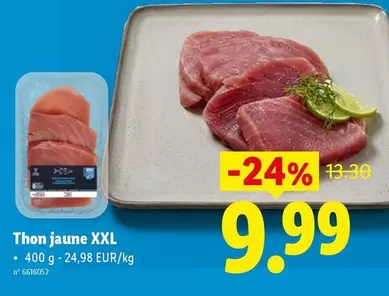 Thon jaune XXL