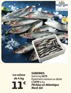 De - SARDINES
