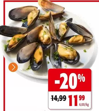 Mussels
