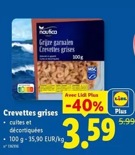 Grijze garnalen Crevettes grises