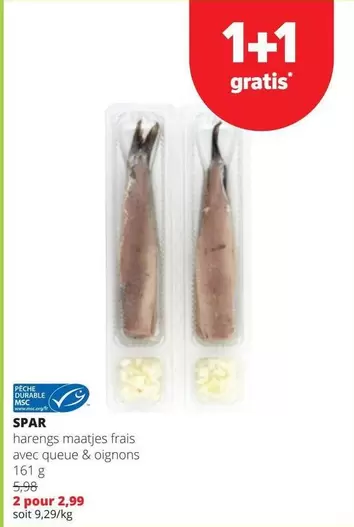 harengs maatjes frais avec queue & oignons