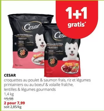 croquettes au poulet & saumon frais, riz et légumes printaniers ou au boeuf & volaille fraiche, lentilles & légumes gourmands