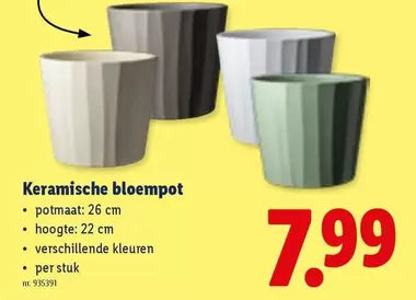 Keramische bloempot