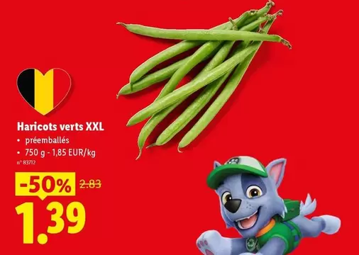 Haricots verts XXL