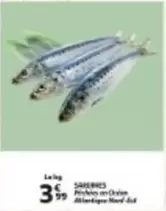 SARDINES