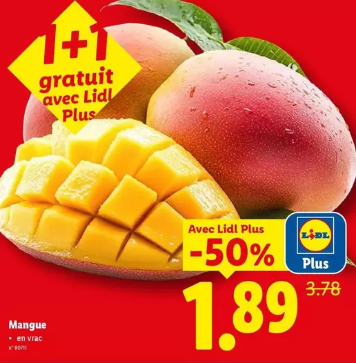 Mangue
