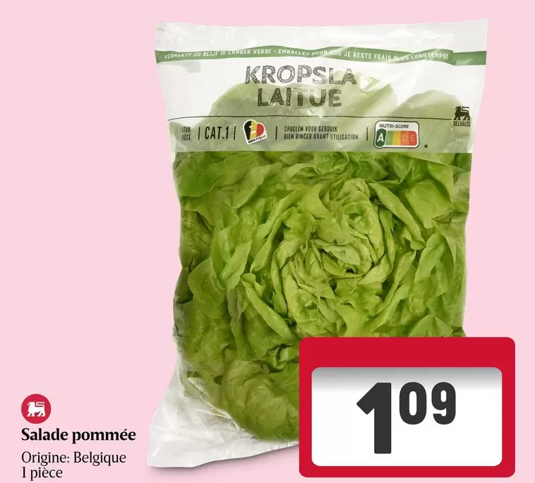 Salade pommée