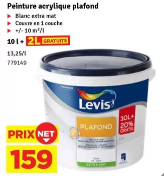 Extra - Peinture acrylique plafond