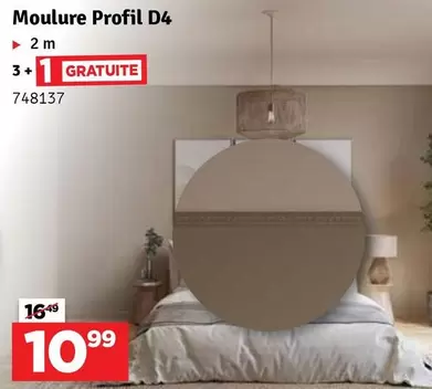 Moulure Profil D4 748137