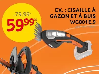 CISAILLE À GAZON ET À BUIS WG801E.9