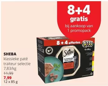 klassieke paté traiteur selectie
