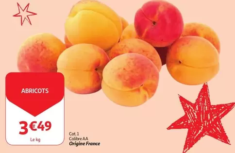 Cat - ABRICOTS