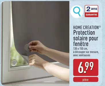 Protection solaire pour fenêtre