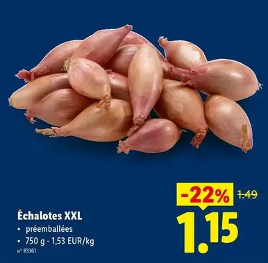 Échalotes XXL