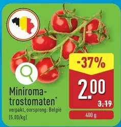 Miniroma-trostomaten