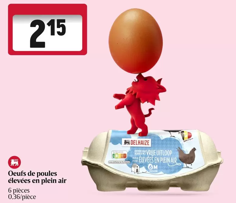 De - Oeufs de poules élevées en plein air