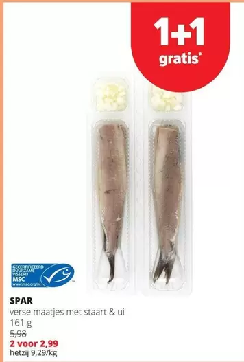 verse maatjes met staart & ui
