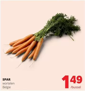 Wortelen