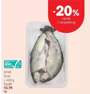 Forel