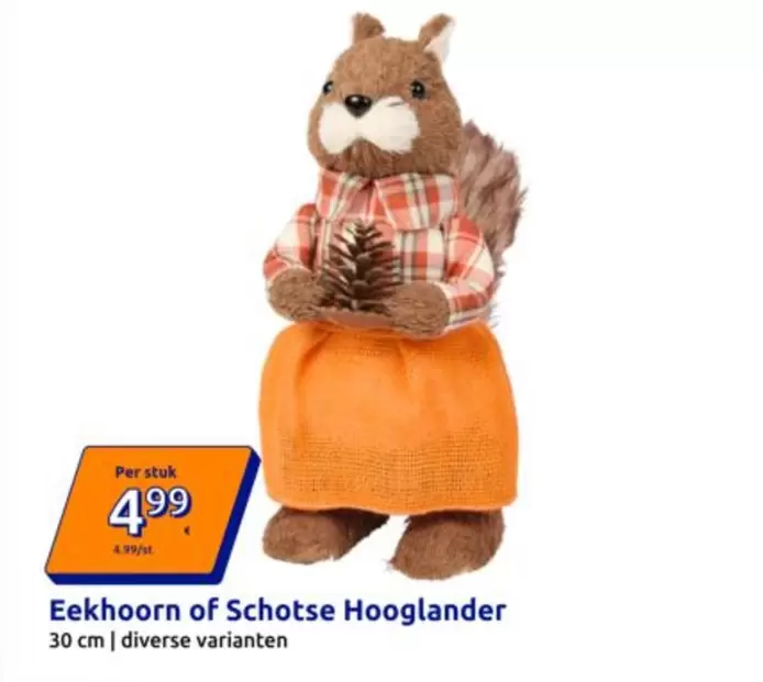 Eekhoorn of Schotse Hooglander