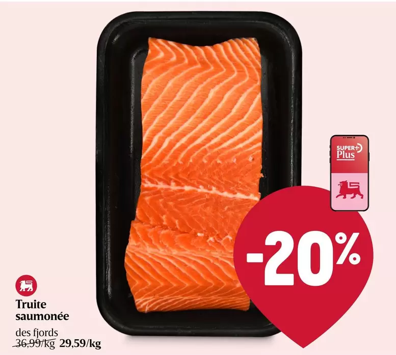 Truite saumonée