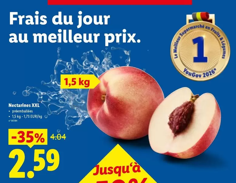 Nectarines XXL