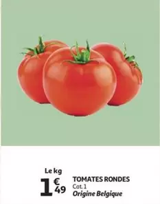 Cat - TOMATES RONDES