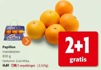 Papillon - Mandarijnen