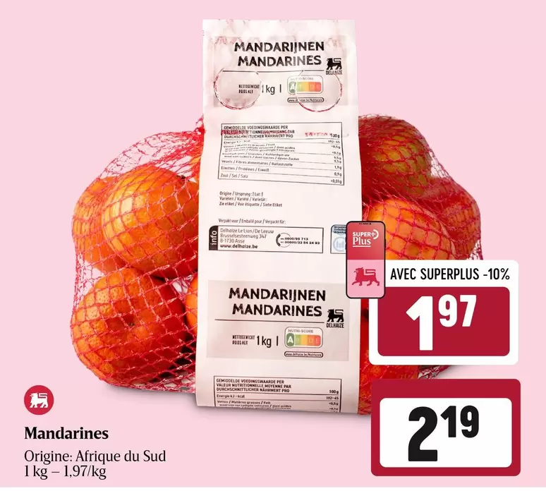 Lion - Mandarinen